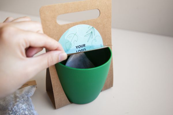 Kit Brikit KT3 - Pot recyclé, terreau et graines – Image 3