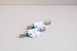 seedtube-christmas-fiole-en-verre-ecologique-graines