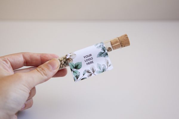 seedtube-noel-fiole-en-verre-graines-substrat-cadeau