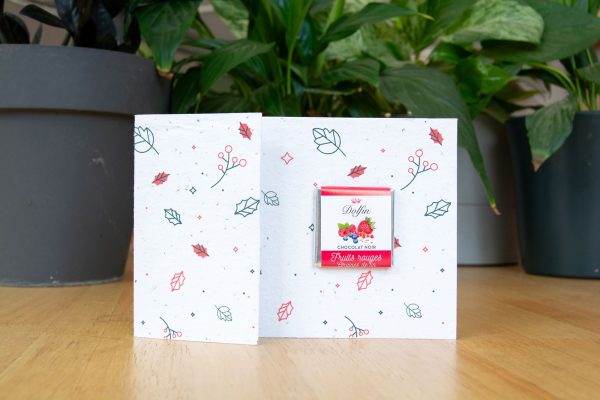 Carte de vœux RSE  diptyque chocolat bio & papier à planter
