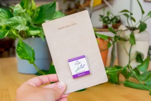 Carte en bois choco wood - 140 x 90 mm