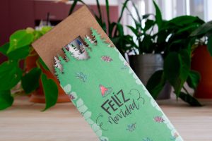 Coffret Paintbox Christmas avec crayons à planter colorés