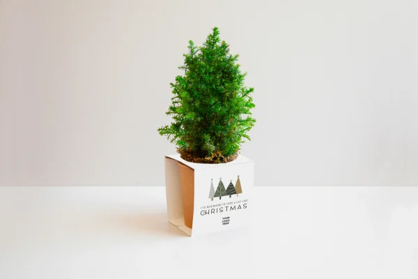 Mini sapin de Noël écoresponsable en tube recyclé