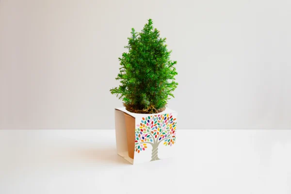 TreeTube Tree Zero – arbre de Noël zéro déchet