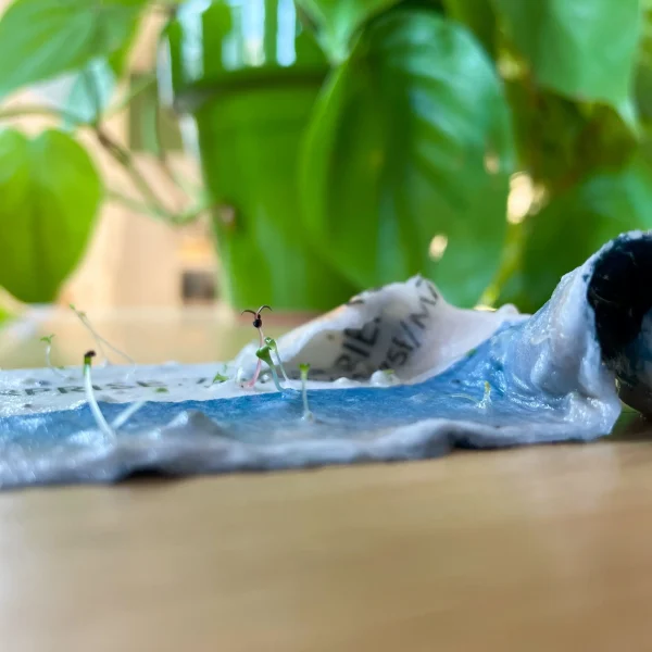 Agenda écologique au format A5 en papier recyclé