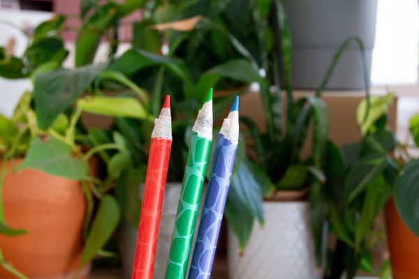 Boîte festive Paintbox
