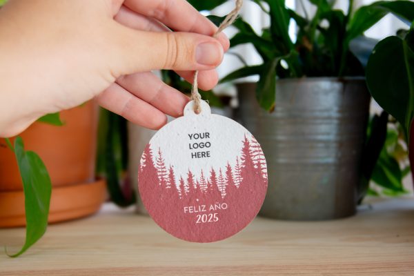 ornement-noel-ecoresponsable-boule-ensemee-plantable