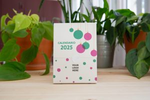 calendrier-mini-box-bois-grave-feuilles-a-planter-ecoresponsable