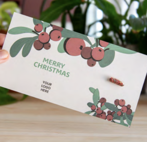 seedtube-christmas-fiole-en-verre-ecologique-graines