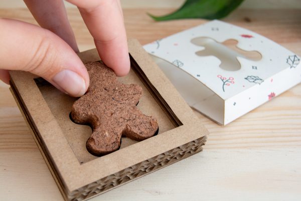jengi-seedcookie-pain-epice-biscuit-planter-ecoresponsable