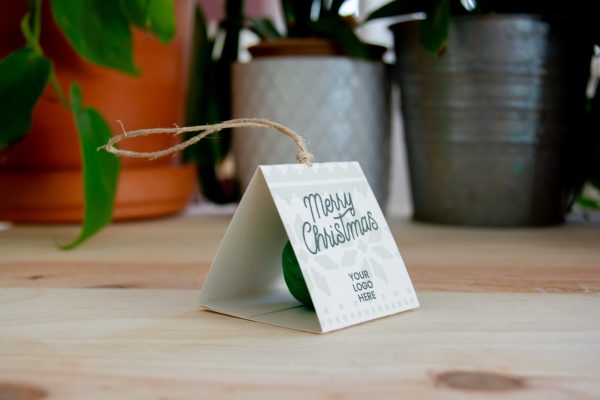 bombe-de-graines-jinglebomb-noel-suspendre-personnalisation