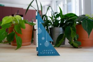 crayon-papier-ensemence-sapin-blister-personnalise