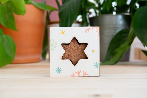 star-bombe-de-graines-etoilee-etui-personnalise
