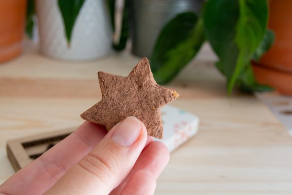 star-bombe-de-graines-etoile-personnalise-ecoresponsable