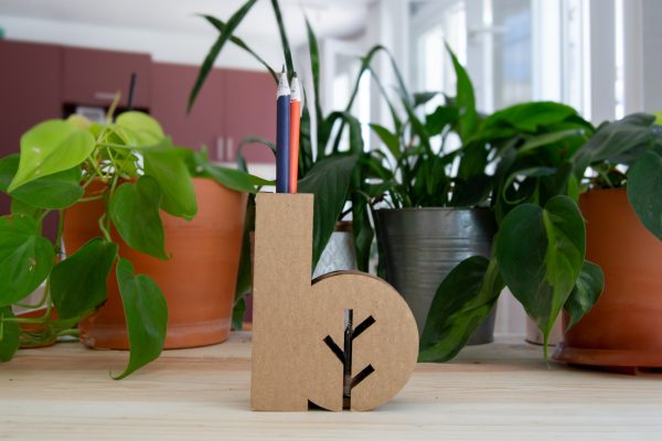 terrarium-brandnest-etui-carton-personnalise-cadeau-durable