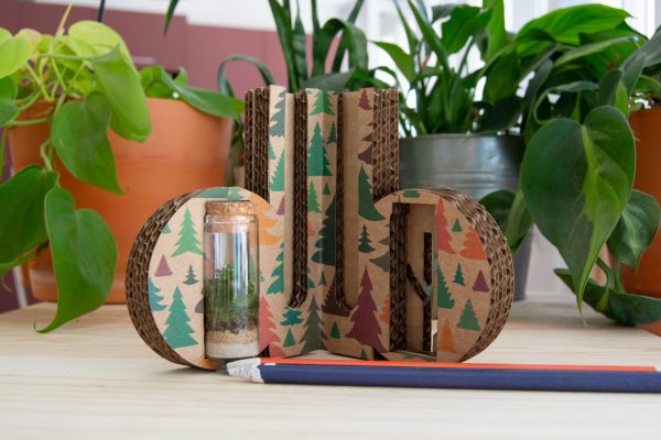 terrarium-brandnest-jardin-ecologique-personnalisable