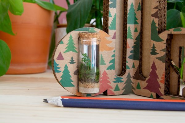 terrarium-brandnest-ecosysteme-sans-entretien-cadeau-personnalise
