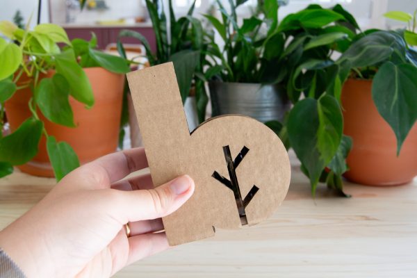 terrarium-brandnest-coffret-logo-gravure-gift-entreprise