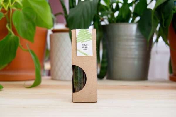terrarium-box-jardin-miniature-ecoresponsable-personnalisation