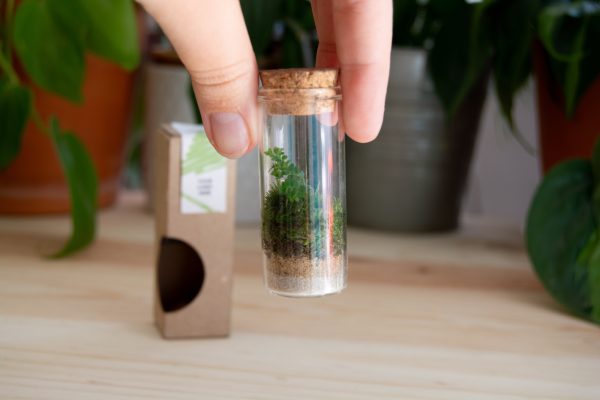 coffret-terrarium-personnalise-ecologique-cadeau-entreprise