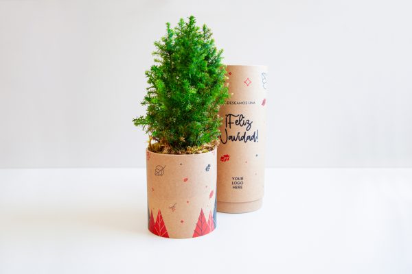 treetube-arbre-noel-a-planter-cadeau-personnalise
