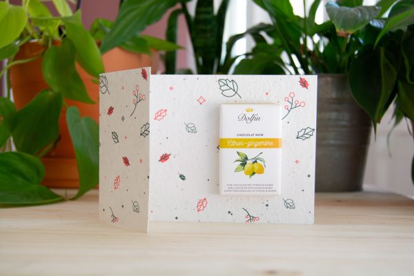 carte-ecologique-chocolat-equitable-10g