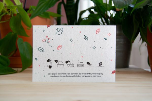 cadeau-dentreprise-personnalise-chocolat-4g