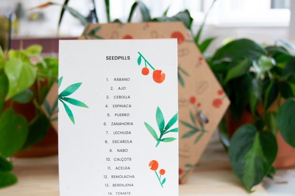 goodies-noel-graines-a-planter-cadeau-entreprise-personnalise