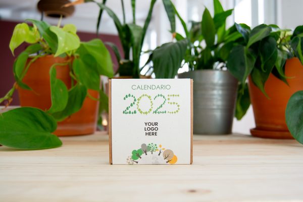 calendrier-avent-de-graines-personnalise-noel-ecoresponsable
