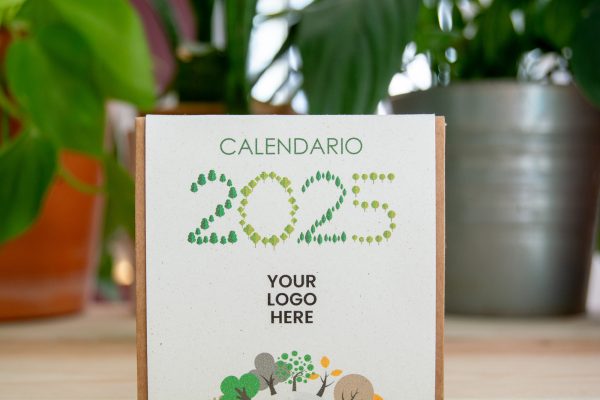 cadeau-ecologique-noel-calendrier-avent-graines-variées