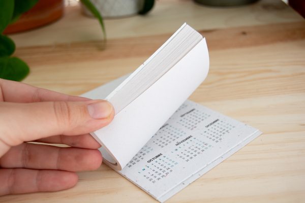 carnet-a6-papier-ensémé-cadeau-entreprise-ecoresponsable
