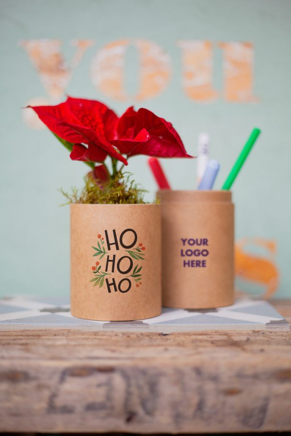 poinsettia-tube-cadeau-eco-responsable-biodegradable