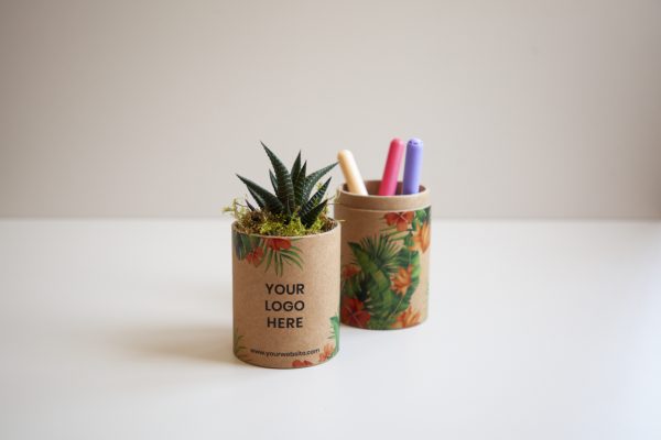 web_cactube-1