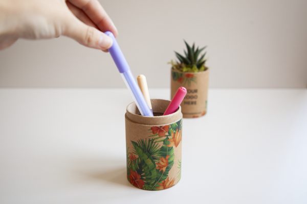 web_cactube-1