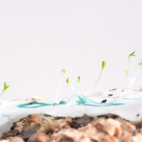 Carte diptyque ensemencée à planter  280 x 140 mm – Image 7