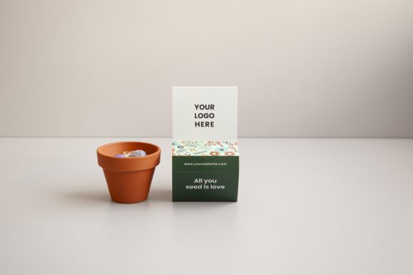 Kit de plantation personnalisé, pot en terre cuite éco‑responsable – Image 3