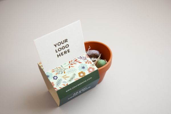 Coffret de plantation durable et personnalisable