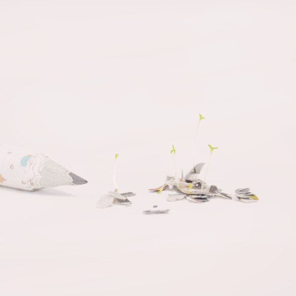 Crayon écologique et zéro déchet en papier recyclé