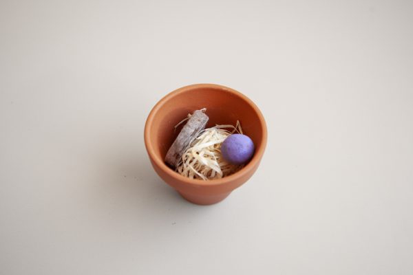 Mini-jardin à offrir : pot naturel et graines bio