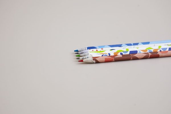 Crayon à planter avec graines intégré fabriqué en papier recyclé