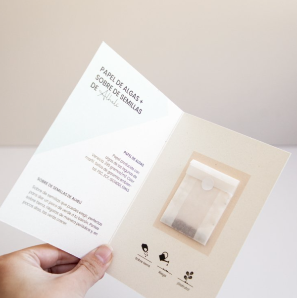 papier-ecologique-destine-a-la-plantation-graines-enveloppe