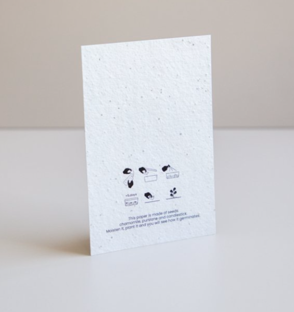 carte-postale-140x90mm-ensemencée
