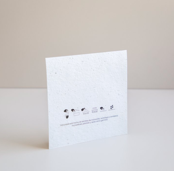 carte-postale-papier-ensemencé-carré-personnalisable