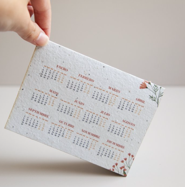 calendrier-ecologique-design-epure