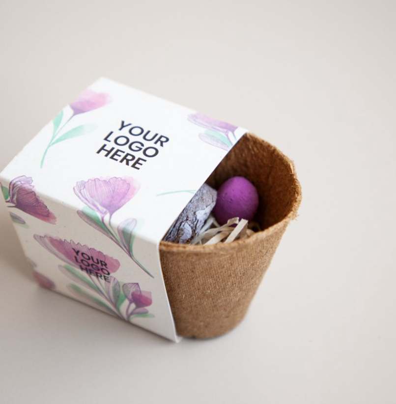 Kit KT2 écoresponsable avec pot biodégradable et graines pour semer des plantes