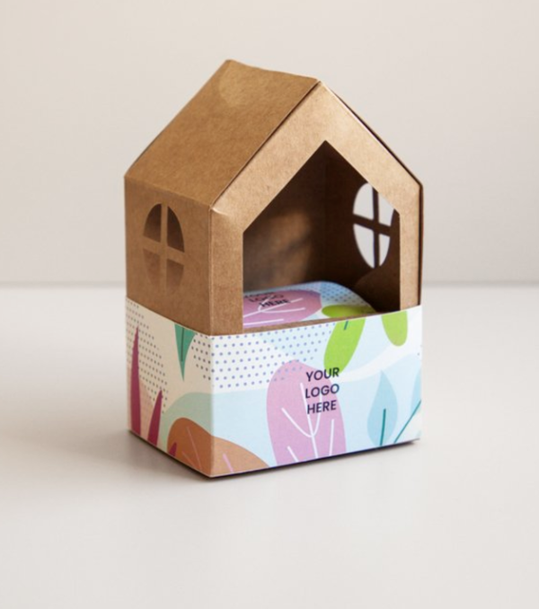 Kit Maison à Germer KT8 avec maceta biodégradable