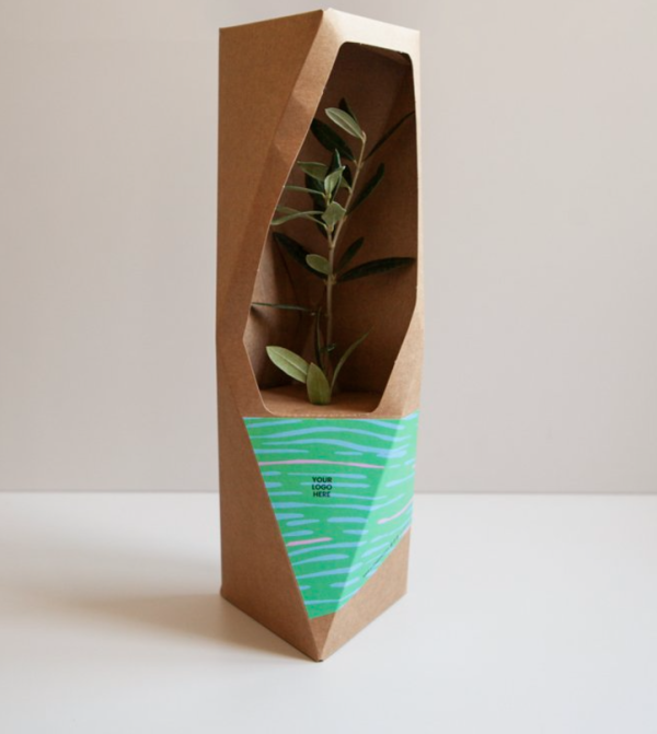 Treeo PV2, arbre ou buisson dans une boîte sculpturale en carton