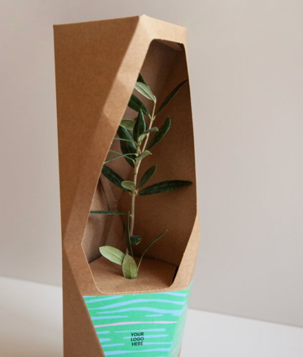 Treeo PV2, un arbre ou buisson élégant dans une boîte sculpturale personnalisée