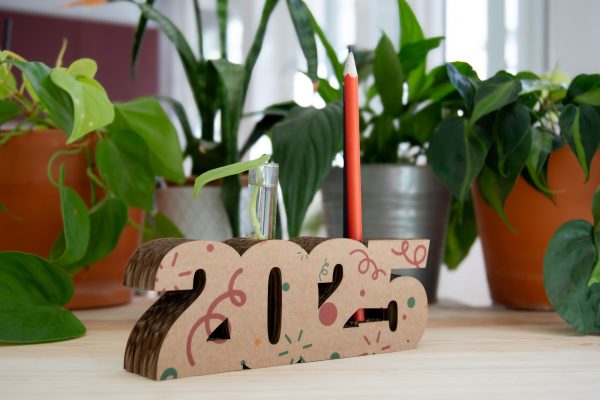 number-nest-structure-carton-ecologique-cadeau-durable