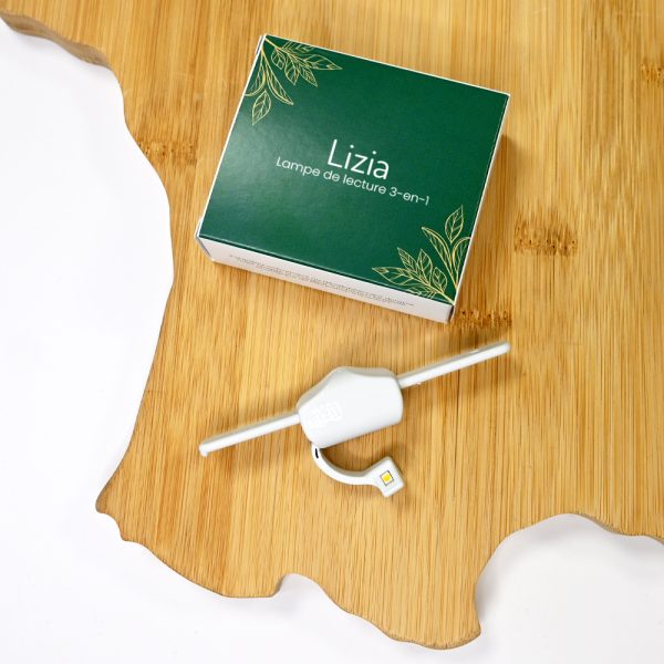 Green Desk - Lizia blanc - Recto